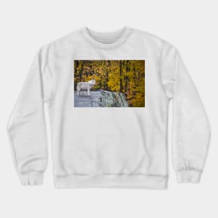Arctic Wolf Crewneck Sweatshirt